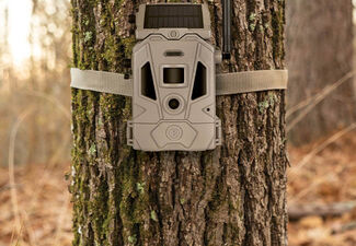 Hunter with Bushnell Trail Camera