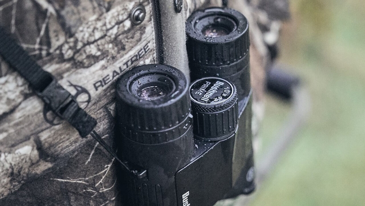 Bushnell prime 12x50 binoculars top