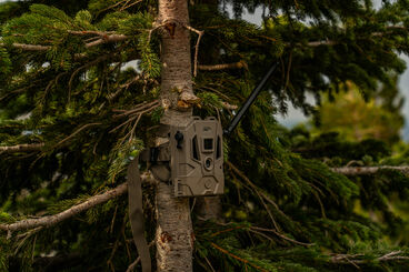 Bushnell Trail Camera