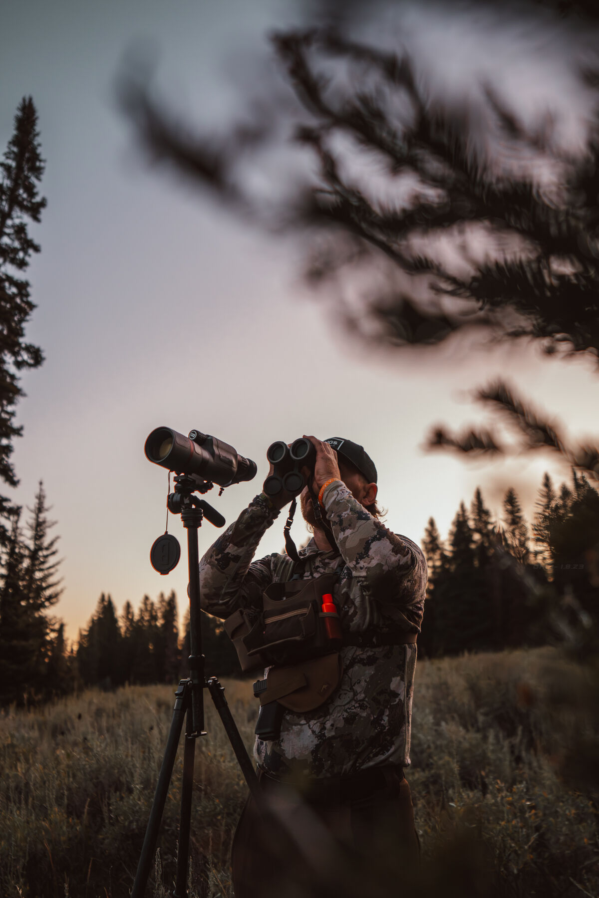 Bushnell Hunting