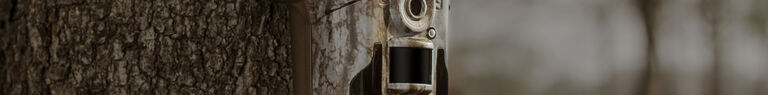 Trail Cameras Search Results