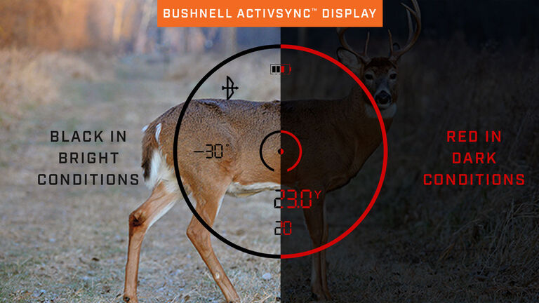 ActivSync display