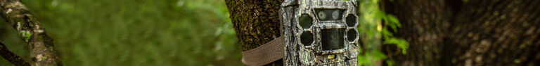 Core  Banner