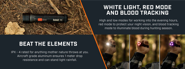 Binocular Harness