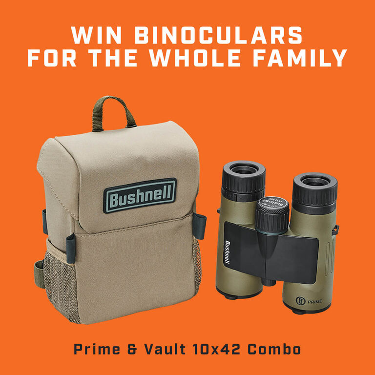 Bushnell Prime and Vault 10x42 Binoculars Combo on orange background