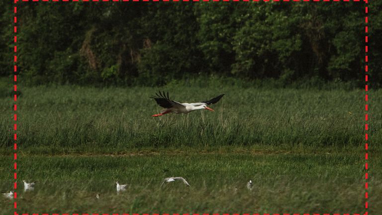 Field of View