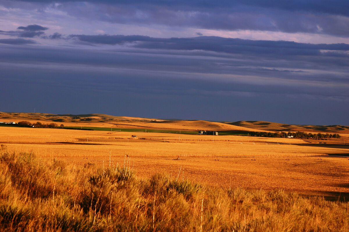Farm Land Farm Land