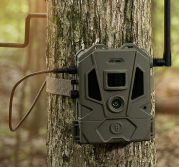 Bushnell Trail Camera Bushnell Trail Camera