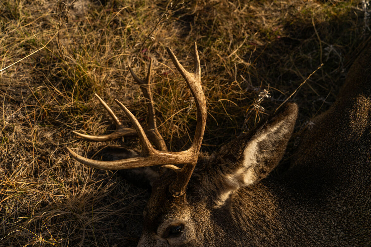 Load Up for Hunting Season