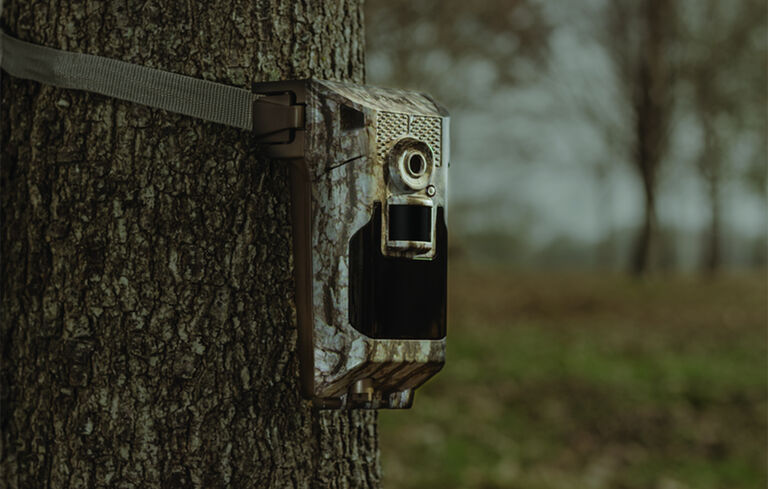 Bushnell Trail Cameras