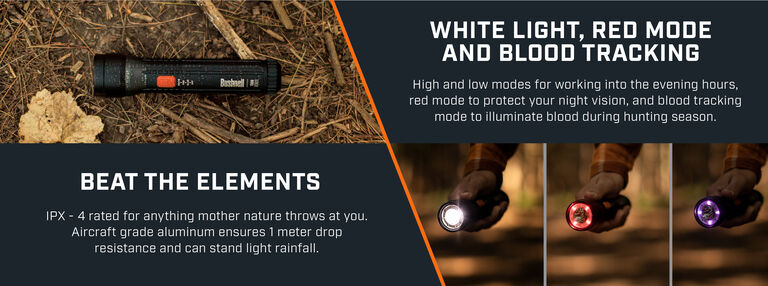 Binocular Harness