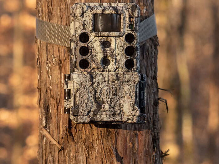 Trail Cameras, Hunting & Cellular Cameras | Bushnell