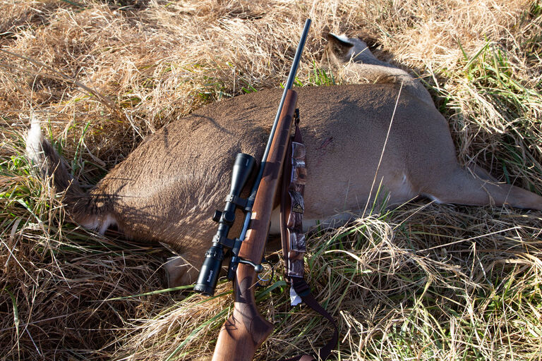 Bushnell Banner 2 rifle scope