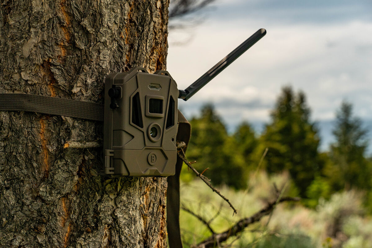 Cellular Trail Camera