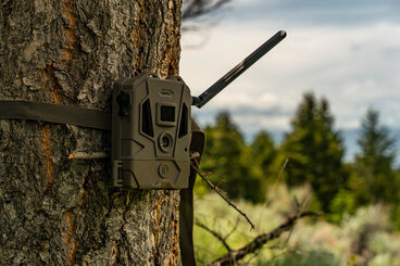 Bushnell Trail Camera Bushnell Trail Camera