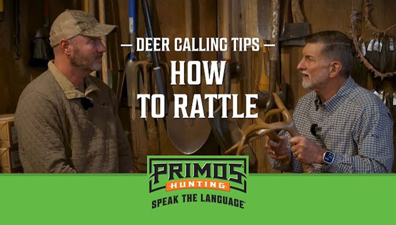 How to Rattle How to Rattle