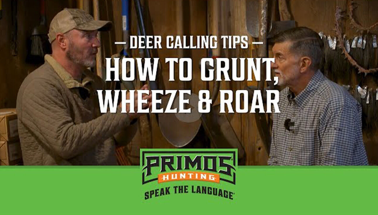 How Grunt Roar and Wheeze Trail Cam strapped to a tree