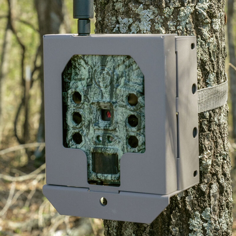 bushnell cellular