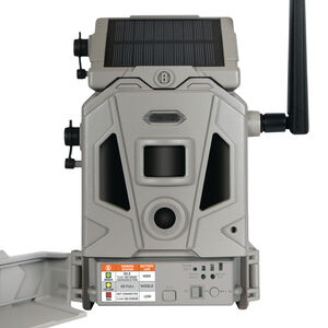 bushnell 14mp bandit trail camera