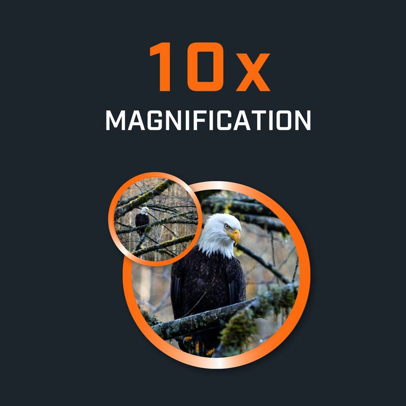 H2O 10x25 Waterproof Binoculars