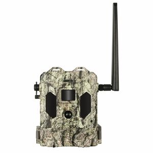 bushnell 14mp bandit trail camera