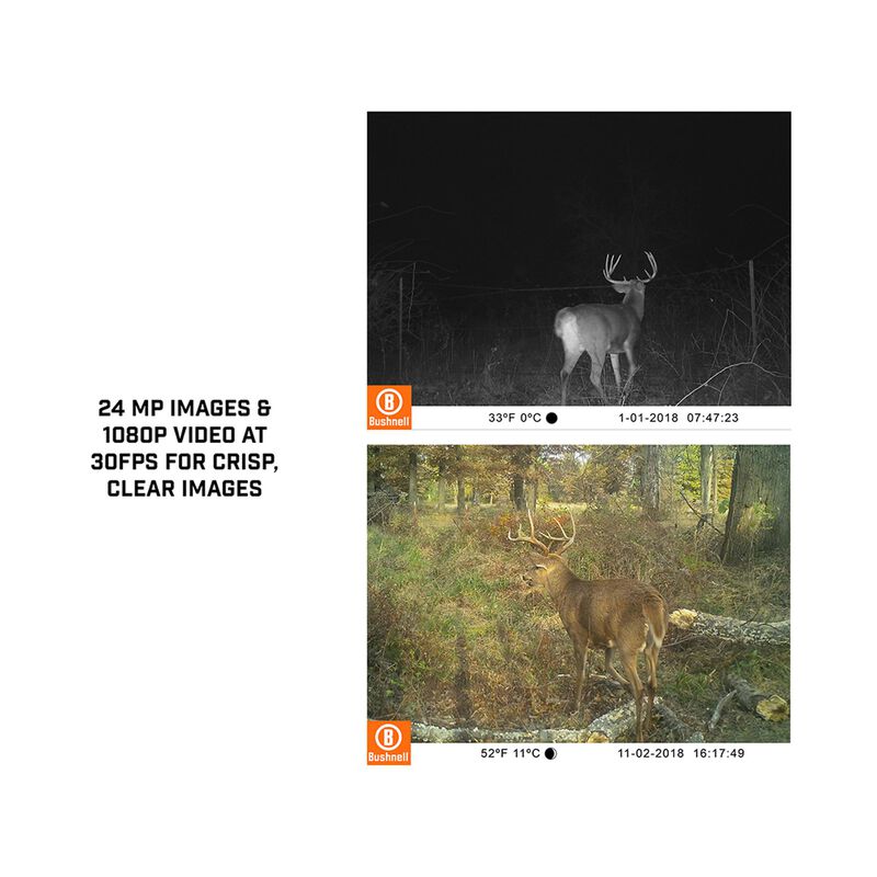 Core&trade; No Glow Trail Camera