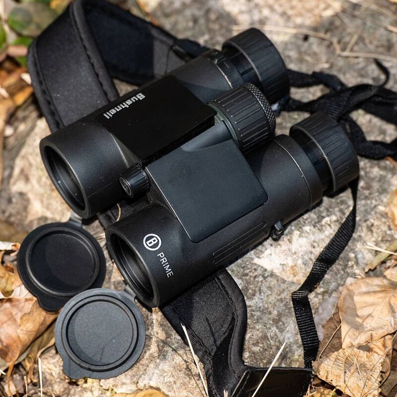 Buy Prime 8x42 Binoculars and More | Bushnell
