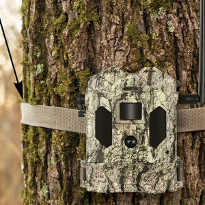 Camera Strap 1'' Steel Buckle CelluCORE™ 30 No Glow Cellular Trail Camera Parts