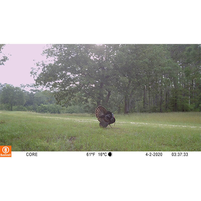 CORE&trade; S-4K No Glow Trail Camera