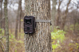 Trophy Cam HD Aggressor Wireless