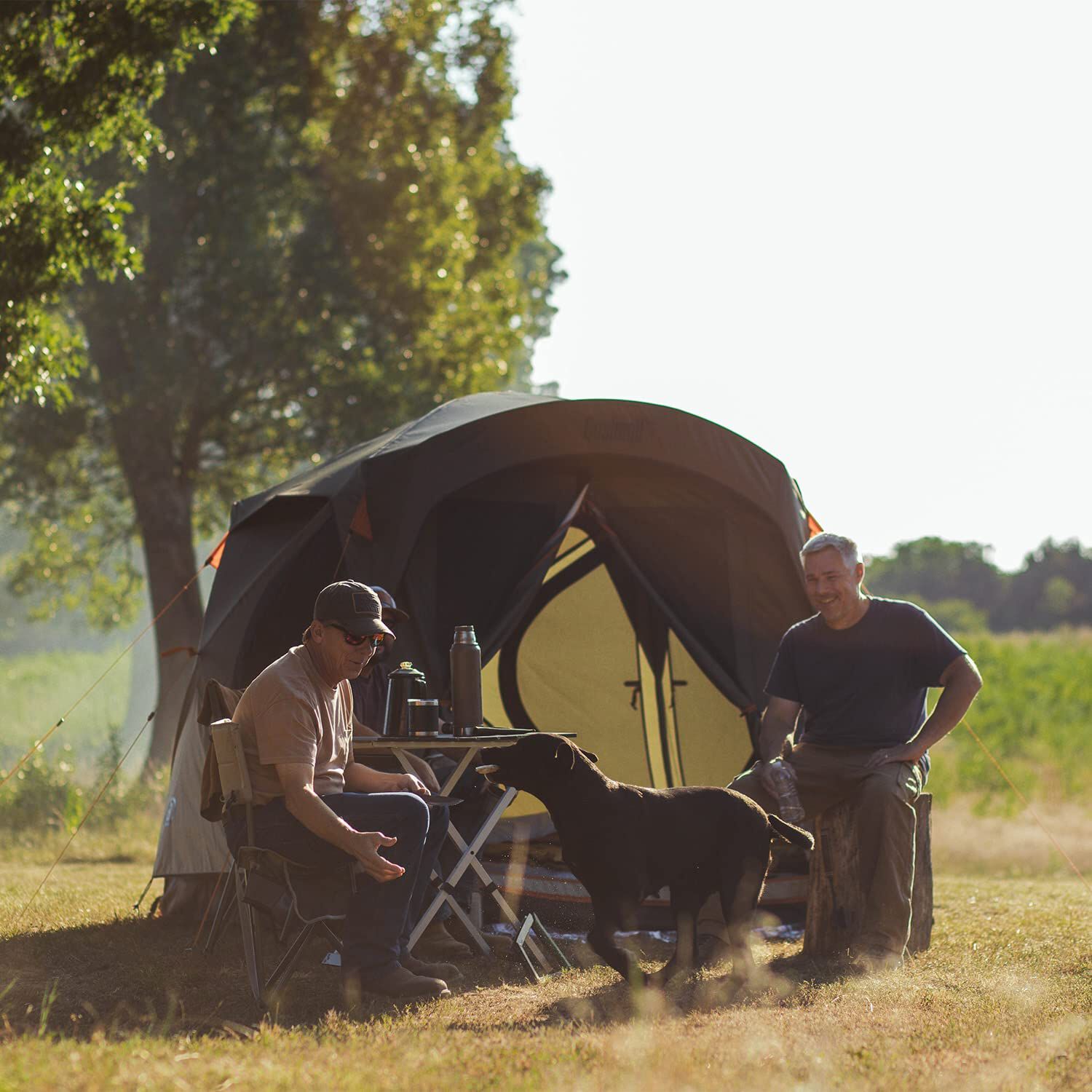 Buy Preserve Series 4 Person Instant Cabin Tent and More Bushnell