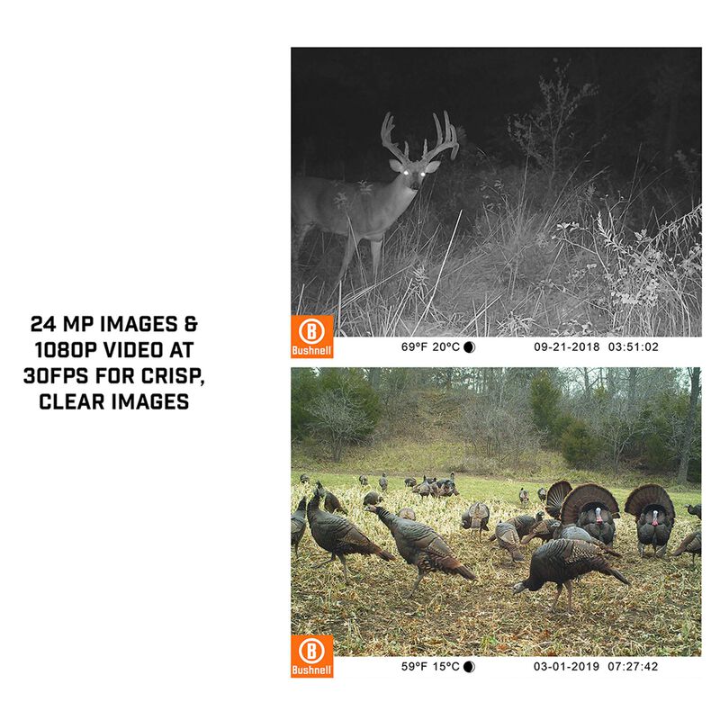 bushnell low glow trail cam