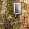Trail Camera Solar Panel