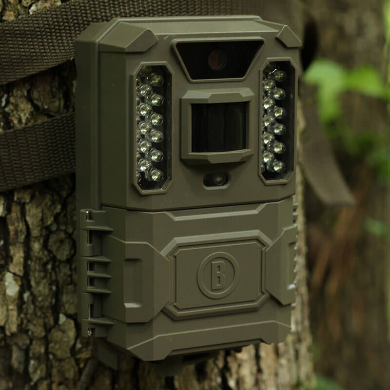 bushnell low glow trail cam
