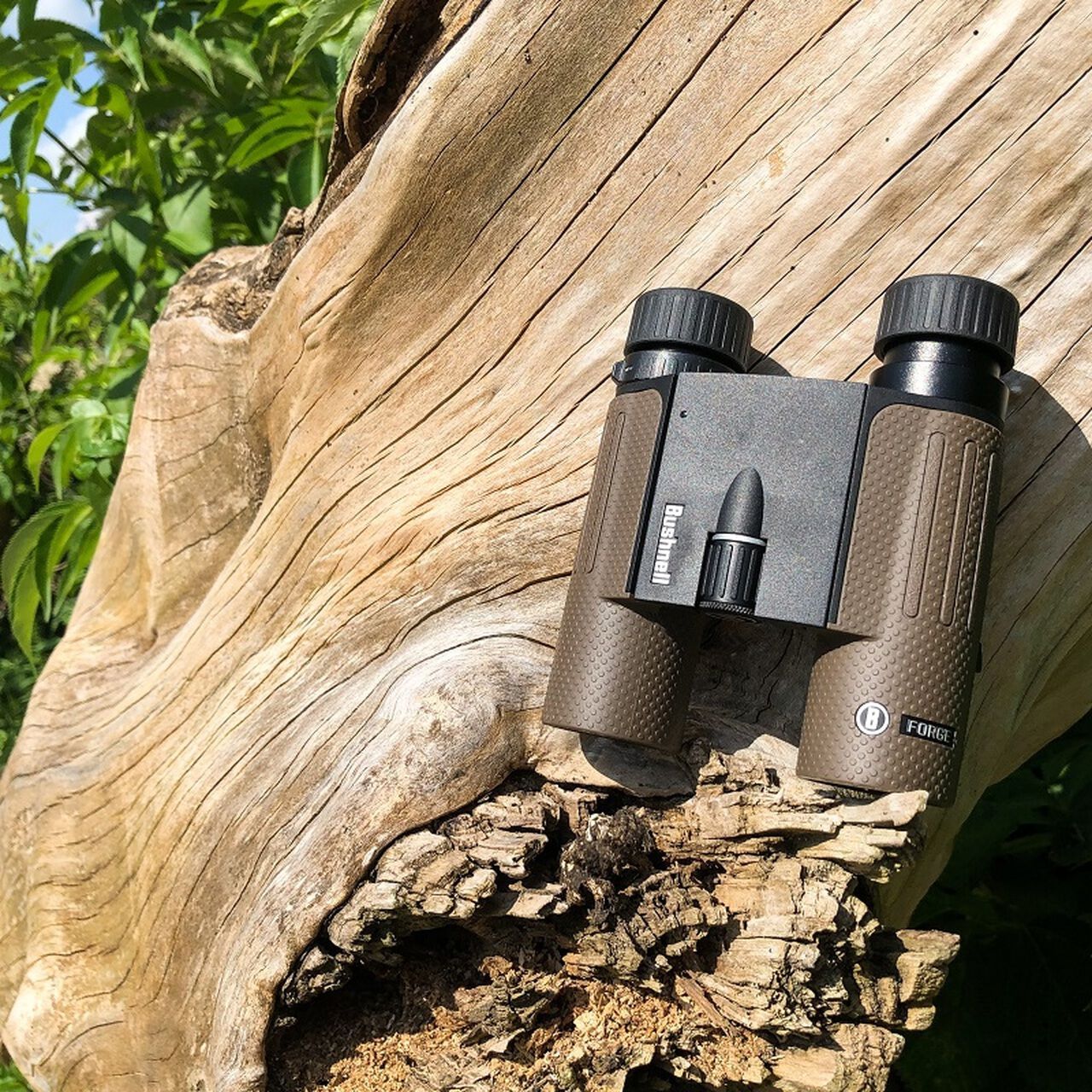 Buy Forge™ 10x30 Binoculars and More | Bushnell