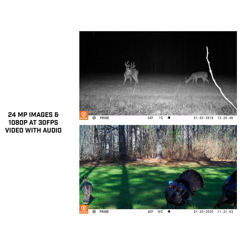 Prime Low Glow Trail Camera