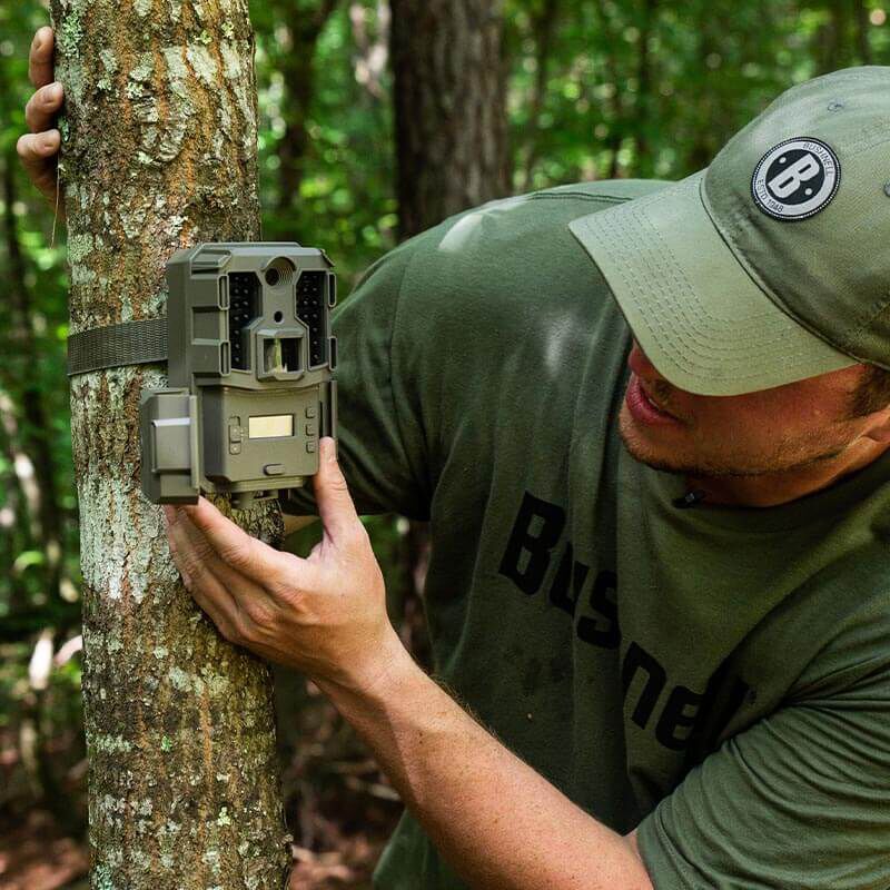 bushnell 20mp trail camera