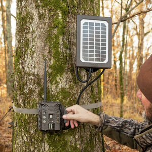 bushnell a20 trail camera
