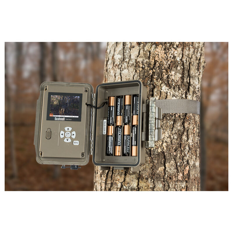 Buy Trophy Cam Hd Aggressor No Glow And More Bushnell