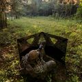 Double Bull SurroundView Stakeout Hunting Blind in Greenleaf