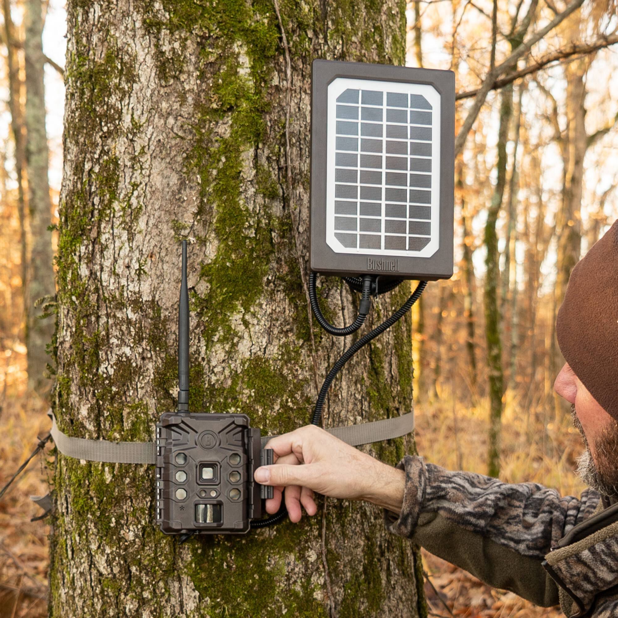 cellular trail camera with solar