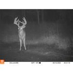 CelluCORE&trade; 20 Low Glow Cellular Trail Camera