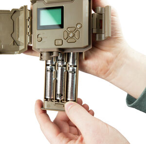 bushnell 14mp bandit trail camera