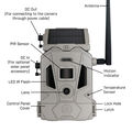 CelluCORE&trade; 20 Solar Cellular Trail Camera