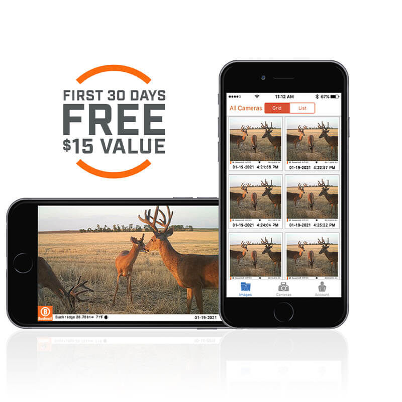 bushnell a20 trail camera