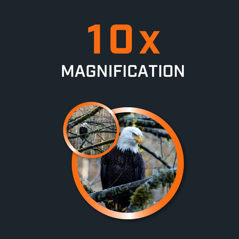 10× Vergrößerung – grafische Darstellung