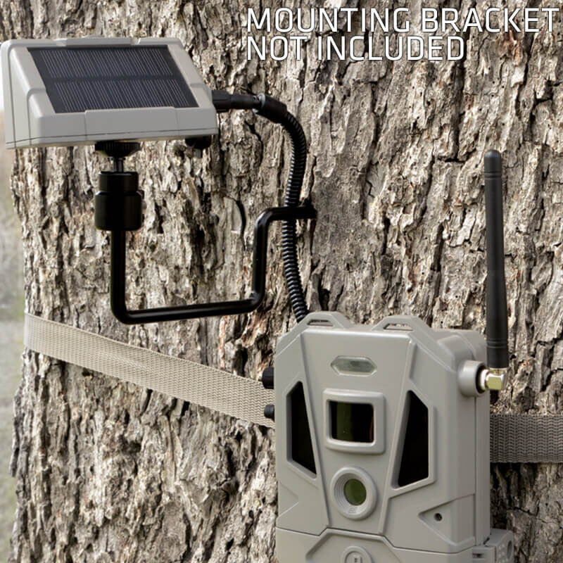 bushnell a20 trail camera