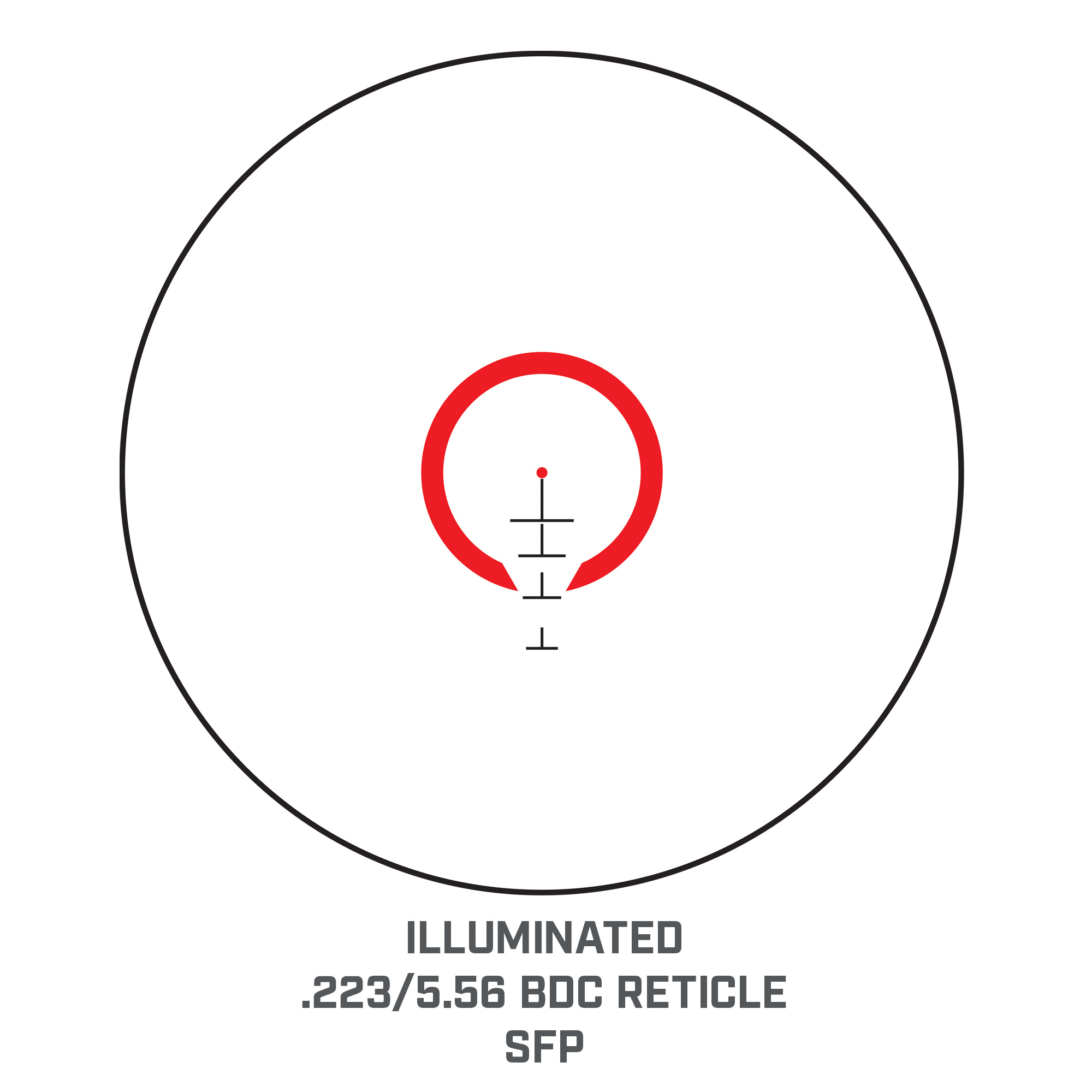 AR71624I_AROptics_Riflescope_Context2.jpg