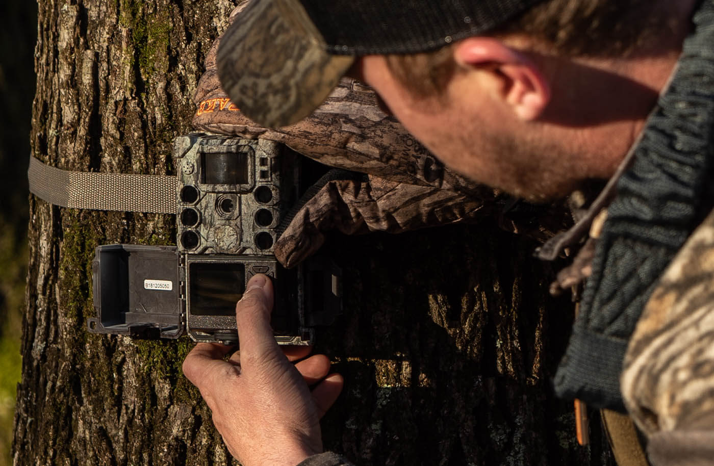 Core S-4K trail Camera strapped to a tree in the woods