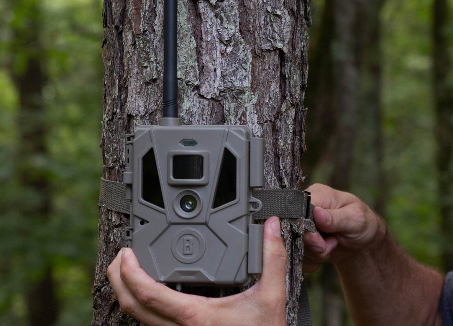 Man adjusting Cellucore 20 Camera strapped to a tree in the woods